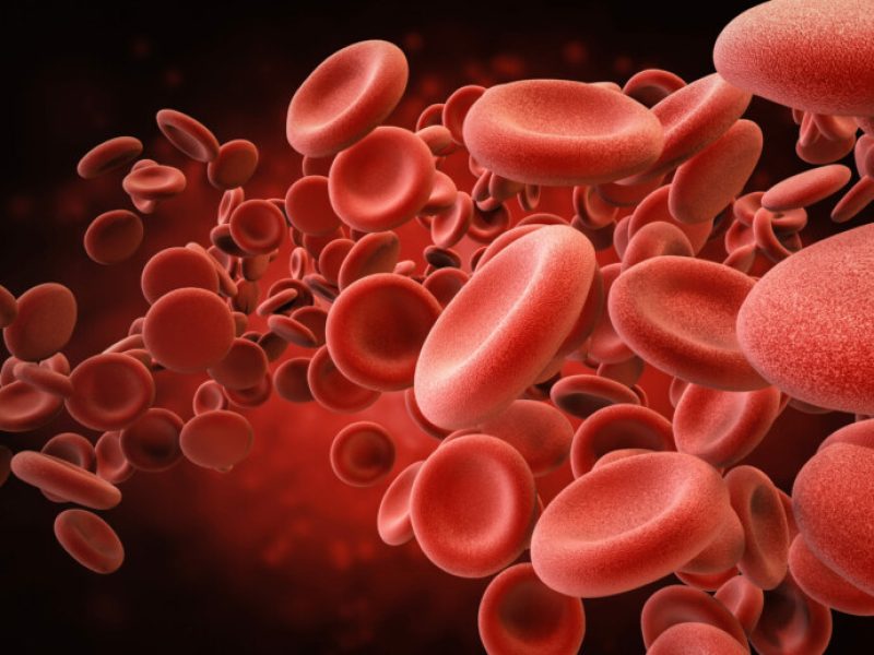 3d rendering red blood cells in vein